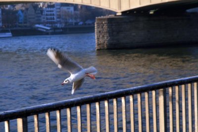 IMG_7716.jpg