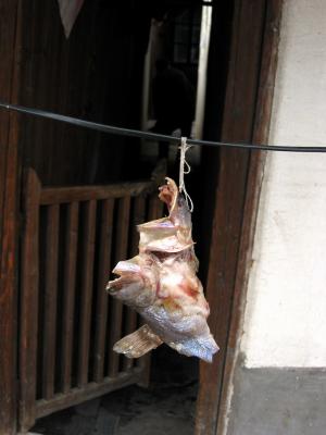 IMG_0278-fix.jpg