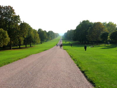 IMG_0172-fix.jpg