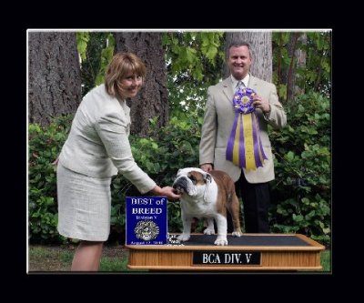 Best of Breed #121, Bulldog Club of America Div V, Best in Specialty Show 08/12/2008