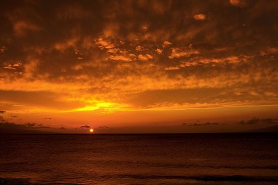 MAUI 2009