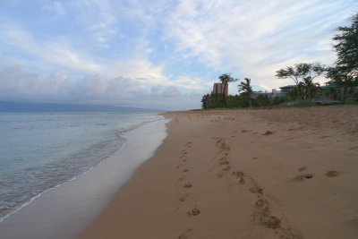 Maui 2010 190.jpg