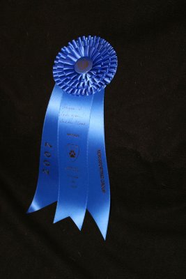 Group ONE ribbon, onto winning BIS 10/20/2007,   special note from group judge