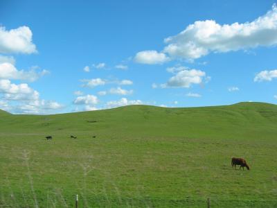 IMG_0161.jpg