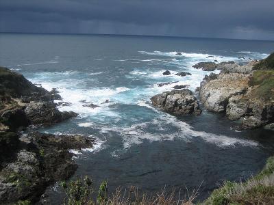 IMG_2541.jpg