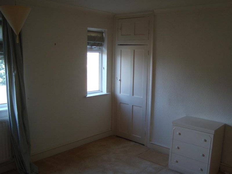 DSC01013 (Large).JPG