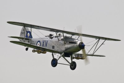 DSC_1411.jpg