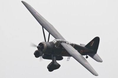 DSC_1461.jpg