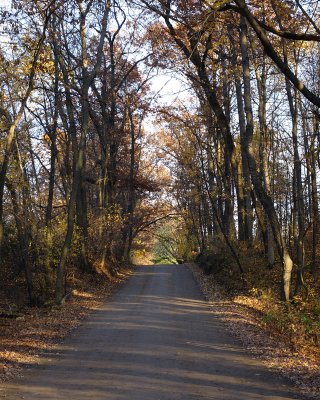 The road to Big Lake
