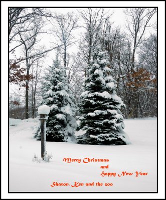 Xmas greeting 2009