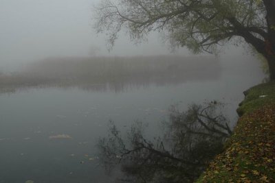 DSC_0126