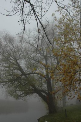 DSC_0129