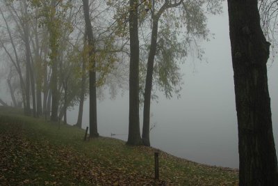 DSC_0136