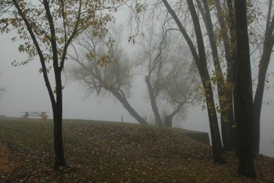 DSC_0141