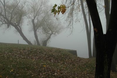 DSC_0146