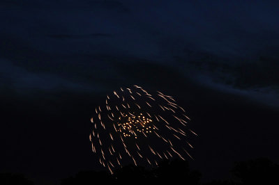 _DSC0810