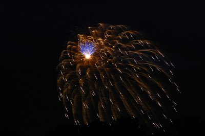 _DSC0831
