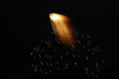 _DSC0838