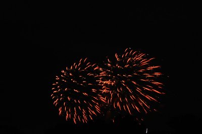 _DSC0845