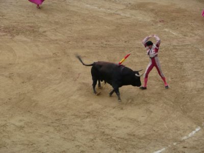 BOG192.jpg