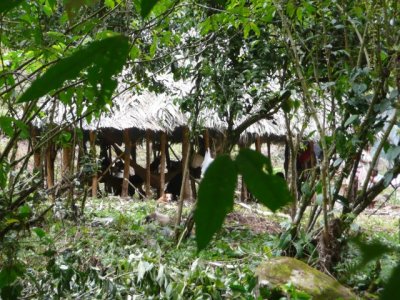CiudadPerdida024.jpg