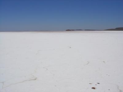 ExplField046.jpg