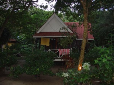 g3/23/430123/3/95778014.EBdEq5gp.jpg