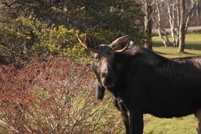 Cape Breton, Nova Scotia