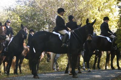jh foxhunting with old chatham hunt club - 2005