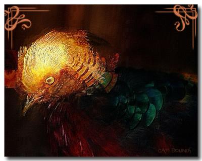 golden_pheasant