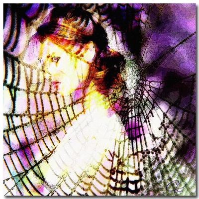 Webs-We-Weave.jpg