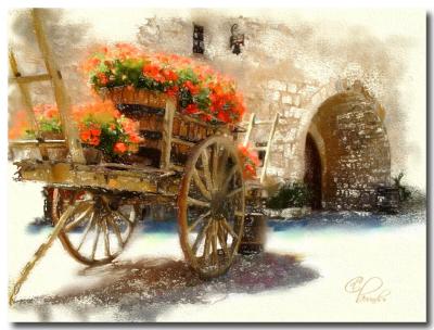 flower-cart.jpg