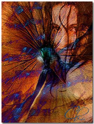 pretty-woman-collage-.jpg
