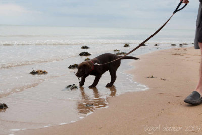 12 weeks -  at the beach