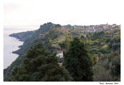 view from the house