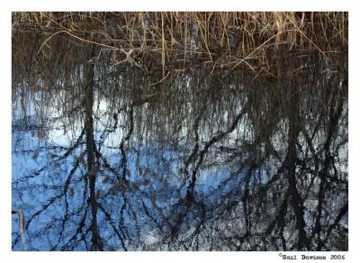 central park reflection