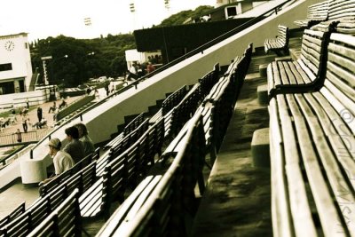 at the races: empty seats