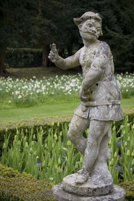 jester