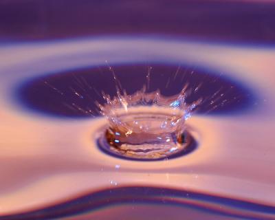 g3/23/502923/3/52748142.DSC_0385.jpg