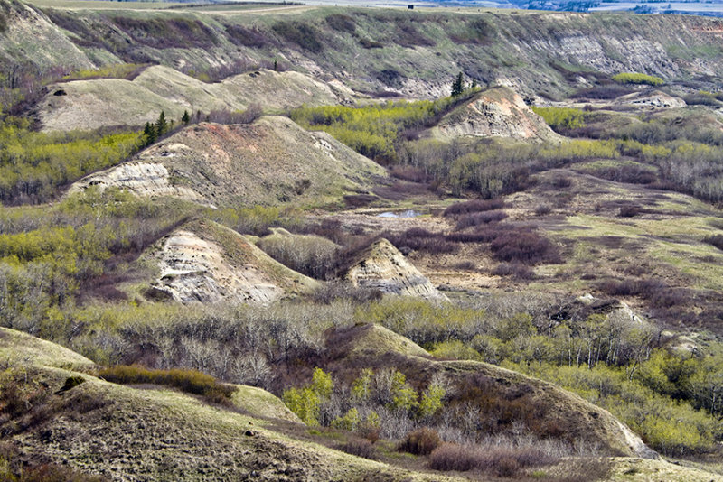 The Plateau