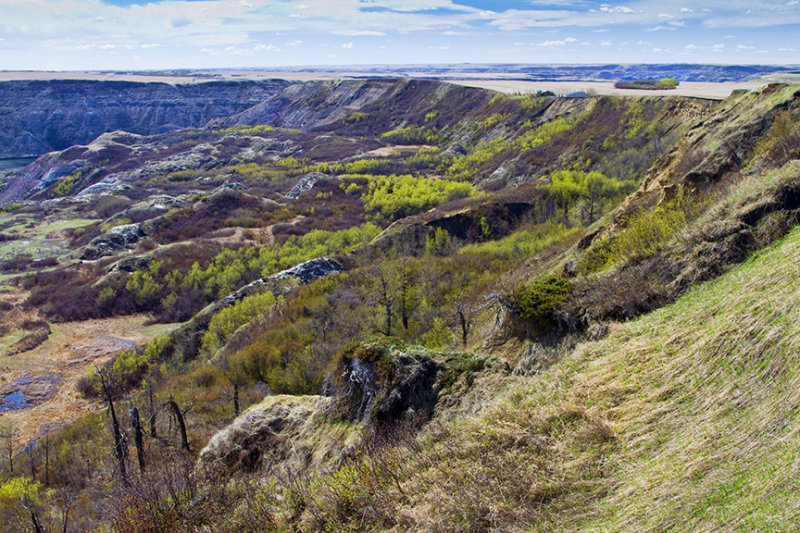 Walking South Along the Ridge