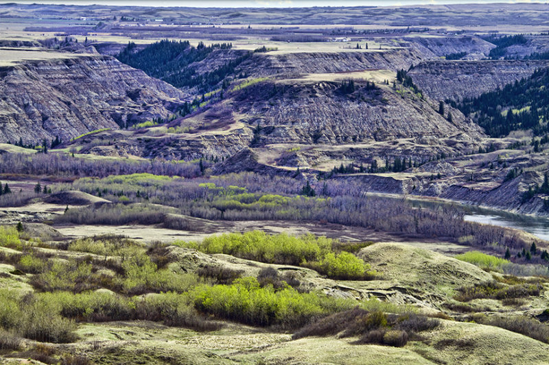 Looking East at the Main Jump Site