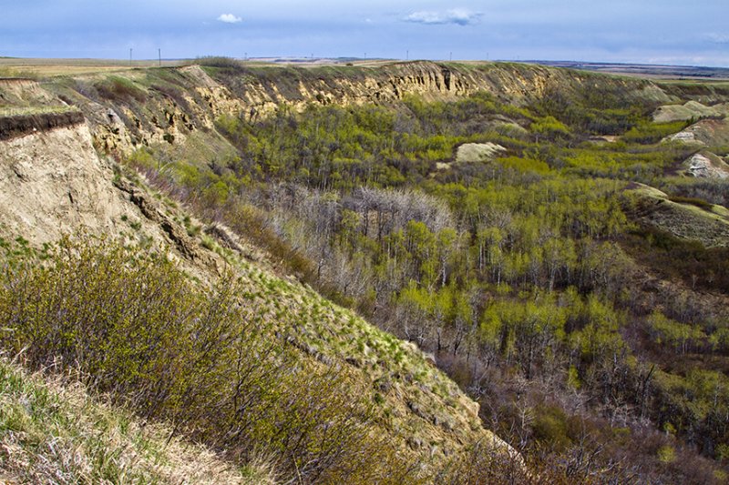 Along the North Ridge