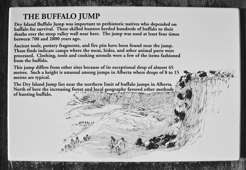 The Buffalo Jump