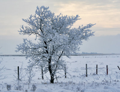 Standing Alone