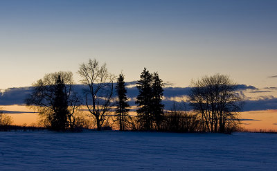 January Winter Sunset