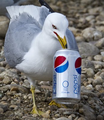 The Pepsi Generation
