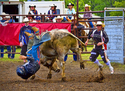 One Sore Bull Rider