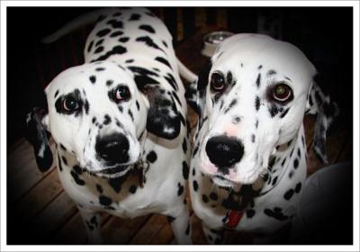 Wanda And Junnie