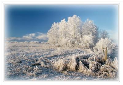Beautiful Alberta